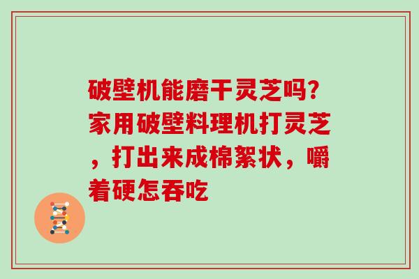 破壁机能磨干灵芝吗?家用破壁料理机打灵芝,打出来成棉絮状,嚼着硬怎吞吃