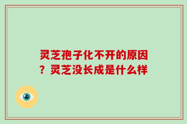 灵芝孢子化不开的原因?灵芝没长成是什么样