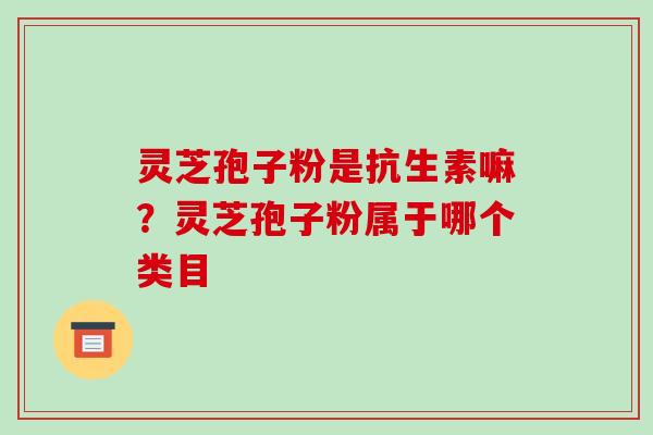 灵芝孢子粉是抗生素嘛?灵芝孢子粉属于哪个类目