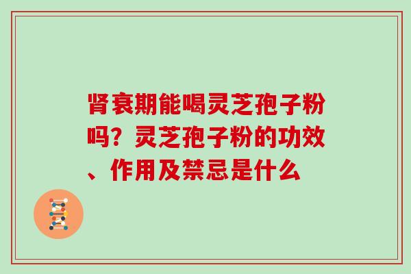 肾衰期能喝灵芝孢子粉吗?灵芝孢子粉的功效、作用及禁忌是什么