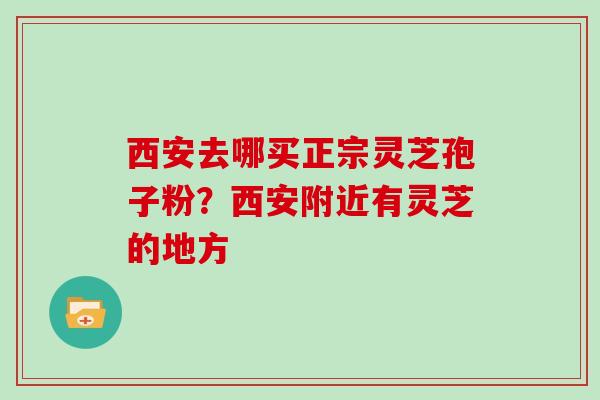 西安去哪买正宗灵芝孢子粉？西安附近有灵芝的地方
