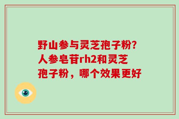 野山参与灵芝孢子粉?人参皂苷rh2和灵芝孢子粉,哪个效果更好