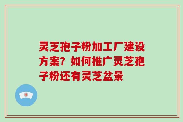 灵芝孢子粉加工厂建设方案?如何推广灵芝孢子粉还有灵芝盆景