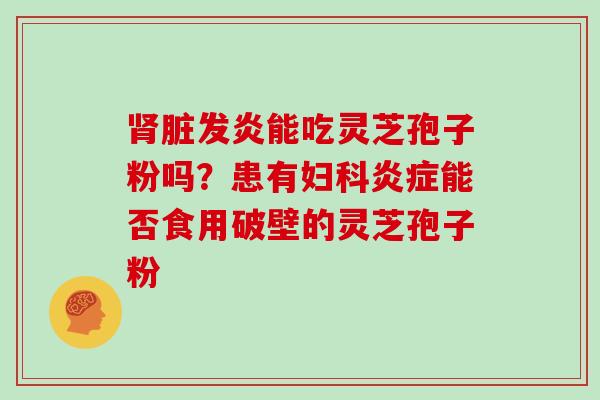 肾脏发炎能吃灵芝孢子粉吗?患有妇科炎症能否食用破壁的灵芝孢子粉