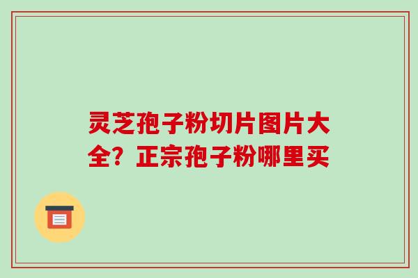 灵芝孢子粉切片图片大全?正宗孢子粉哪里买