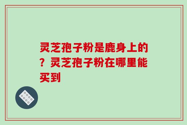 灵芝孢子粉是鹿身上的?灵芝孢子粉在哪里能买到