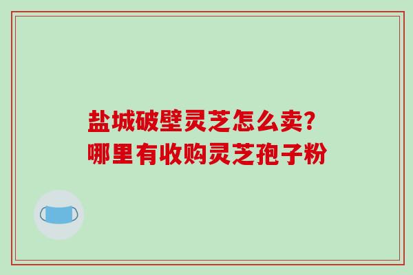 盐城破壁灵芝怎么卖?哪里有收购灵芝孢子粉