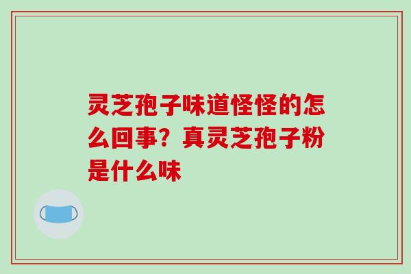 灵芝孢子味道怪怪的怎么回事?真灵芝孢子粉是什么味