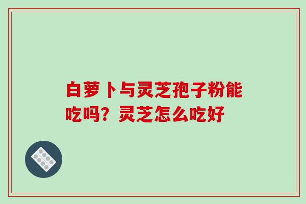 白萝卜与灵芝孢子粉能吃吗？灵芝怎么吃好