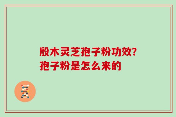 殷木灵芝孢子粉功效?孢子粉是怎么来的
