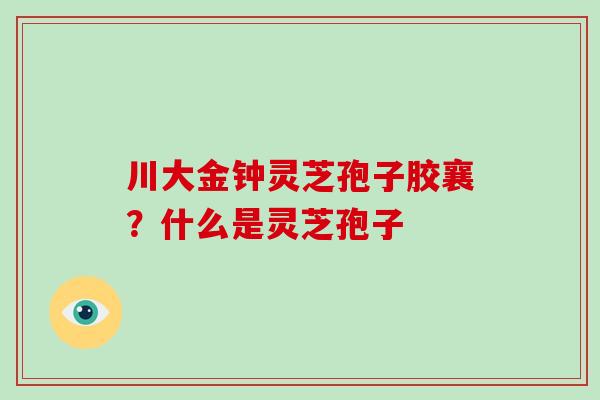 川大金钟灵芝孢子胶襄？什么是灵芝孢子