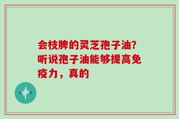 会枝脾的灵芝孢子油?听说孢子油能够提高免疫力,真的