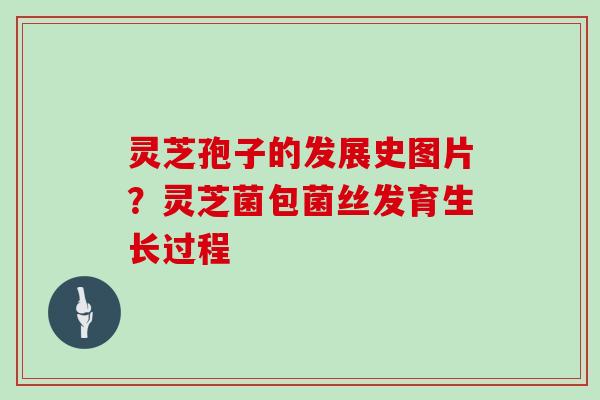 灵芝孢子的发展史图片?灵芝菌包菌丝发育生长过程