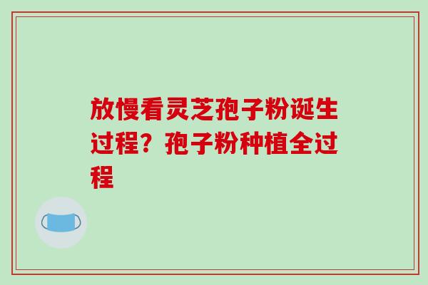 放慢看灵芝孢子粉诞生过程？孢子粉种植全过程