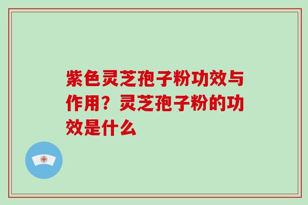 紫色灵芝孢子粉功效与作用?灵芝孢子粉的功效是什么
