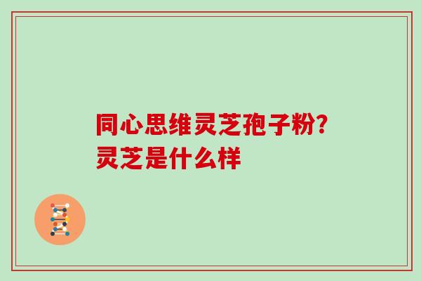 同心思维灵芝孢子粉?灵芝是什么样