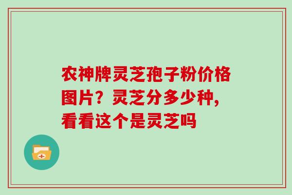 农神牌灵芝孢子粉价格图片?灵芝分多少种,看看这个是灵芝吗