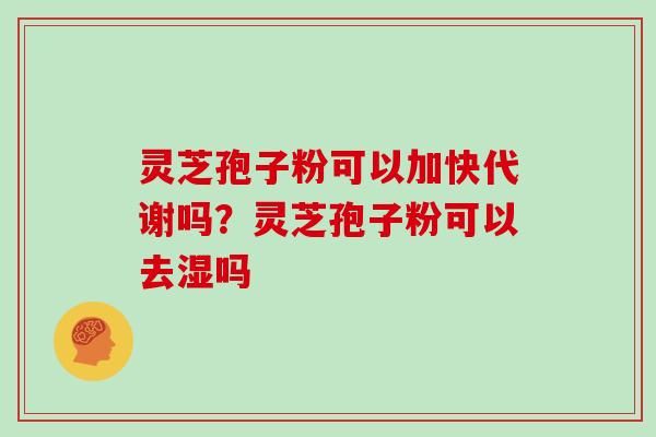 灵芝孢子粉可以加快代谢吗?灵芝孢子粉可以去湿吗