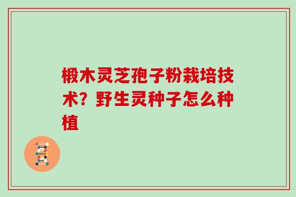 椴木灵芝孢子粉栽培技术?野生灵种子怎么种植