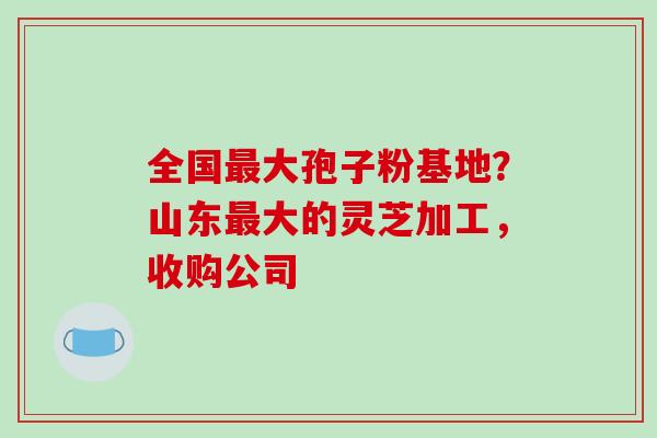 全国最大孢子粉基地?山东最大的灵芝加工,收购公司