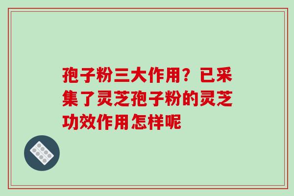 孢子粉三大作用？已采集了灵芝孢子粉的灵芝功效作用怎样呢