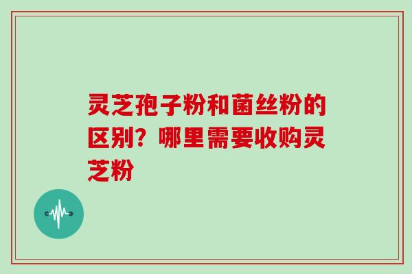 灵芝孢子粉和菌丝粉的区别?哪里需要收购灵芝粉