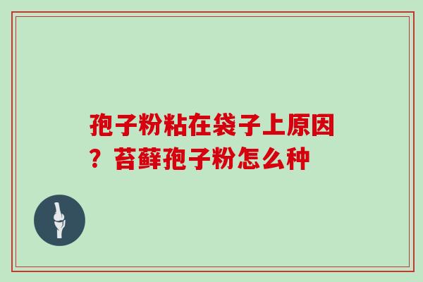 孢子粉粘在袋子上原因?苔藓孢子粉怎么种