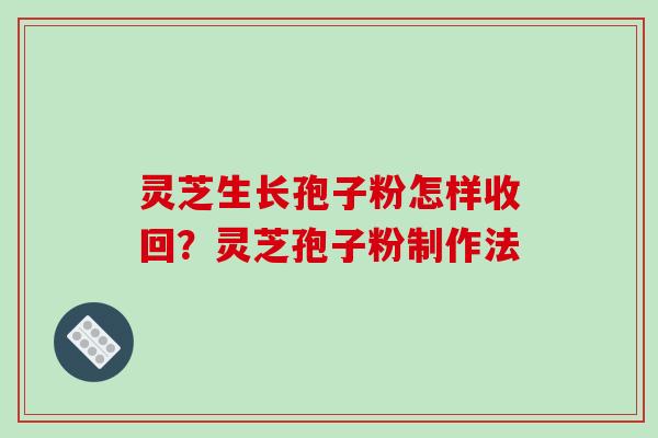 灵芝生长孢子粉怎样收回?灵芝孢子粉制作法