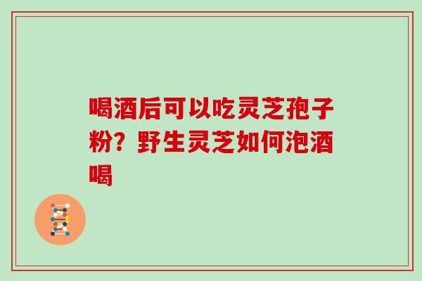 喝酒后可以吃灵芝孢子粉？野生灵芝如何泡酒喝