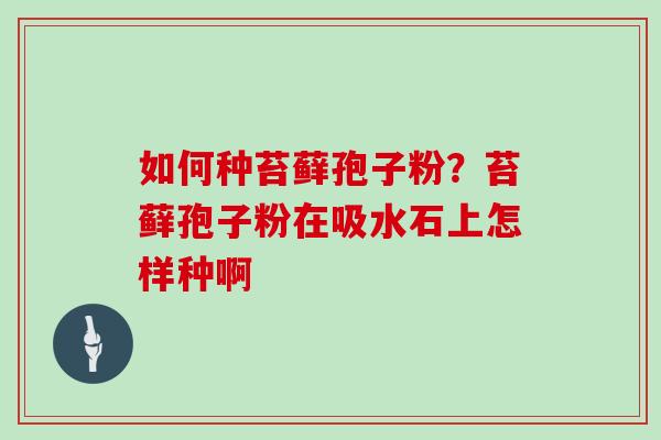 如何种苔藓孢子粉?苔藓孢子粉在吸水石上怎样种啊
