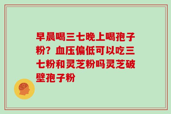 早晨喝三七晚上喝孢子粉？血压偏低可以吃三七粉和灵芝粉吗灵芝破壁孢子粉