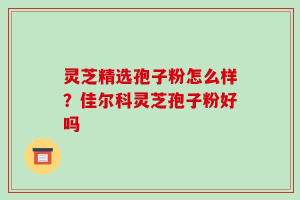 灵芝精选孢子粉怎么样?佳尔科灵芝孢子粉好吗