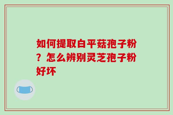 如何提取白平菇孢子粉？怎么辨别灵芝孢子粉好坏
