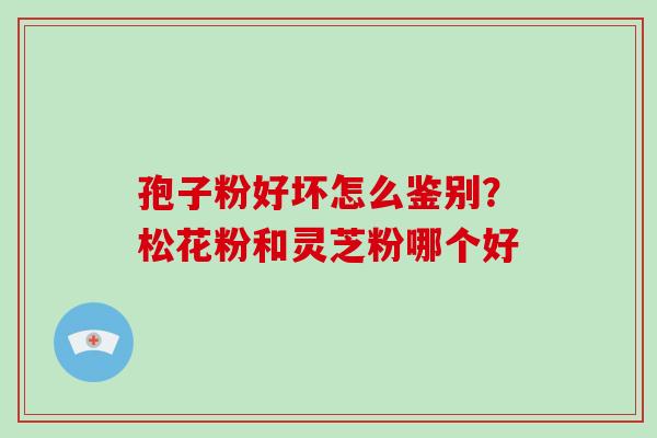 孢子粉好坏怎么鉴别?松花粉和灵芝粉哪个好