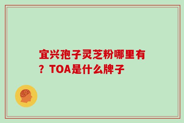 宜兴孢子灵芝粉哪里有?TOA是什么牌子