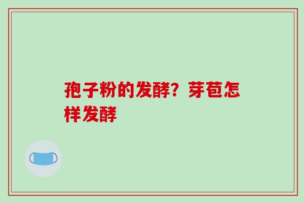 孢子粉的发酵?芽苞怎样发酵