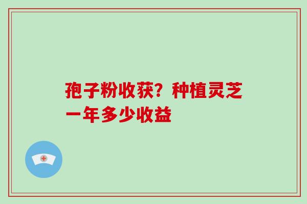 孢子粉收获?种植灵芝一年多少收益