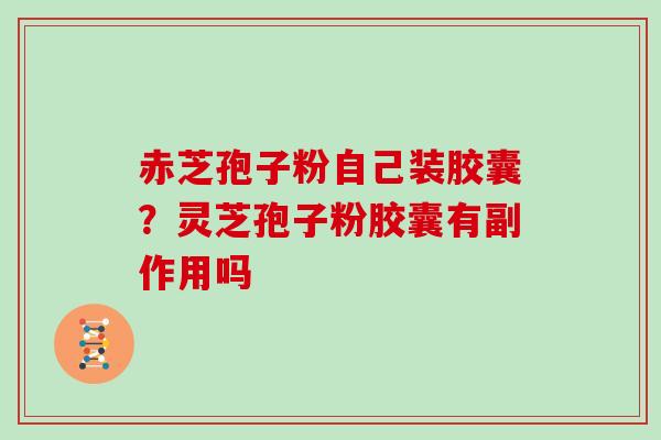 赤芝孢子粉自己装胶囊?灵芝孢子粉胶囊有副作用吗