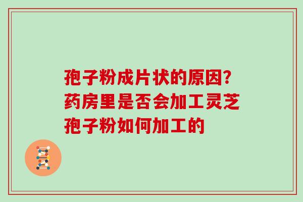 孢子粉成片状的原因？药房里是否会加工灵芝孢子粉如何加工的