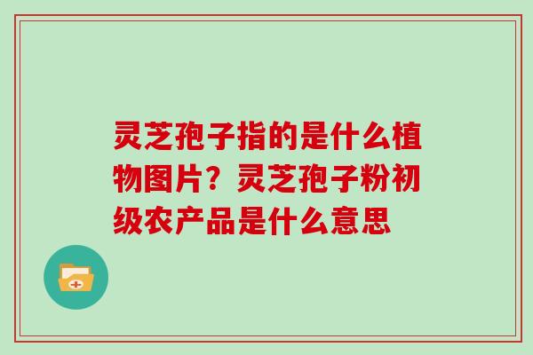 灵芝孢子指的是什么植物图片?灵芝孢子粉初级农产品是什么意思