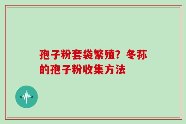 孢子粉套袋繁殖?冬荪的孢子粉收集方法