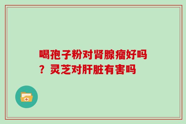喝孢子粉对肾腺瘤好吗?灵芝对肝脏有害吗