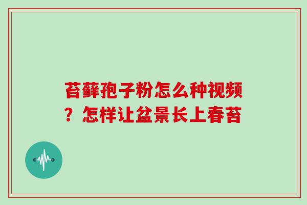 苔藓孢子粉怎么种视频?怎样让盆景长上春苔