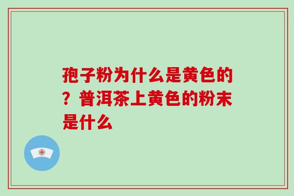 孢子粉为什么是黄色的？普洱茶上黄色的粉末是什么
