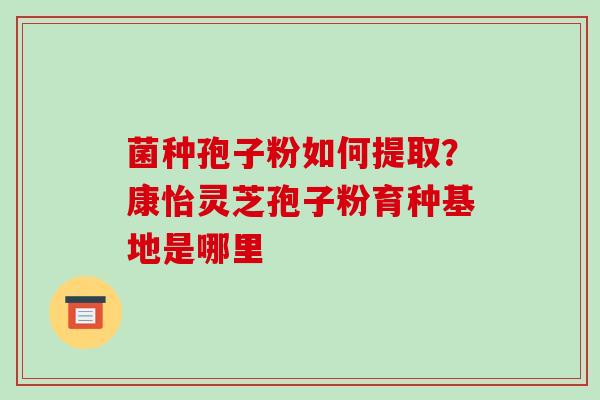 菌种孢子粉如何提取?康怡灵芝孢子粉育种基地是哪里