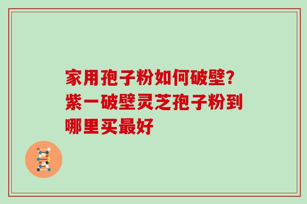 家用孢子粉如何破壁？紫一破壁灵芝孢子粉到哪里买最好