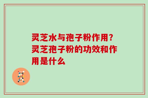 灵芝水与孢子粉作用?灵芝孢子粉的功效和作用是什么