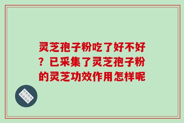 灵芝孢子粉吃了好不好?已采集了灵芝孢子粉的灵芝功效作用怎样呢