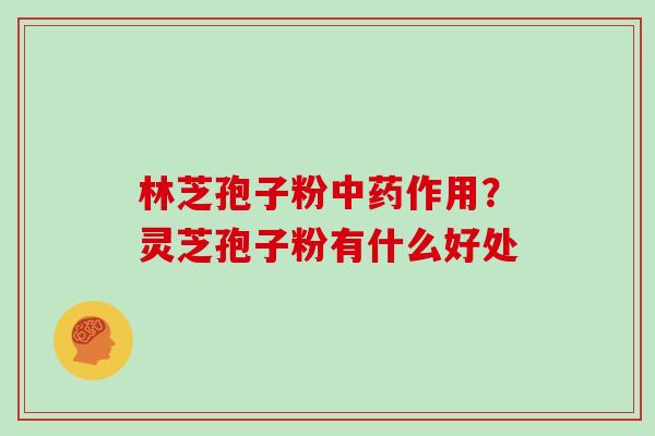 林芝孢子粉中药作用?灵芝孢子粉有什么好处
