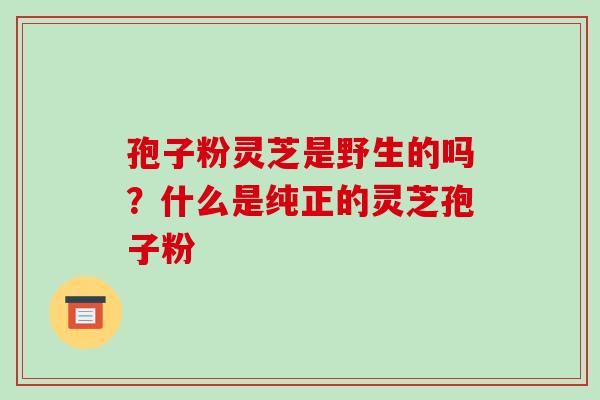 孢子粉灵芝是野生的吗？什么是纯正的灵芝孢子粉
